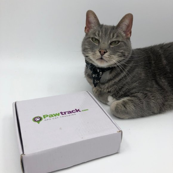 PAWTRACK GPS CAT TRACKING ADJUSTABLE USB COLLAR, New in box - Picture 15 of 16